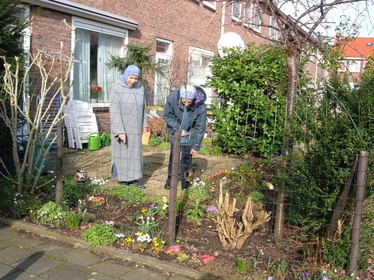 Boffen Met De Buren - Geheugen Van West