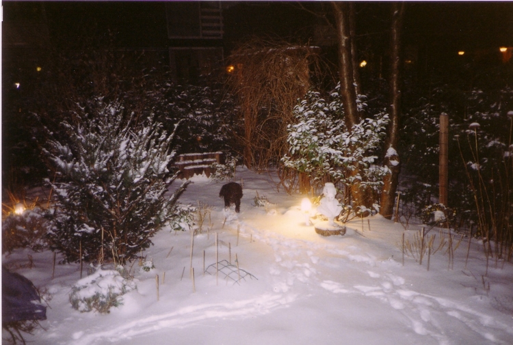 De tuin van Wil in de sneeuw De tuin van Wil in de sneeuw, Slotermeer 2002 