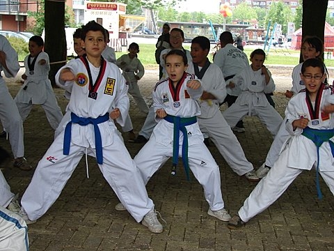 Taekwon-do, wat sportief! Foto: Annick van Ommeren-Marquer, 25 mei 2008 