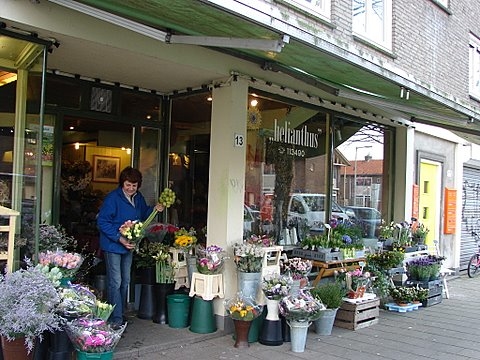 Bloemenwinkel 'Helianthus' Foto: Annick van Ommeren-Marquer, 9 april 2008 