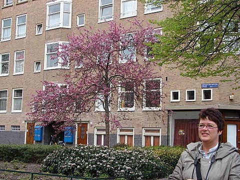 Mia de Jong "De winkels zijn allemaal woningen geworden"<br />Foto: Annick van Ommeren-Marquer, 20 april 2008 