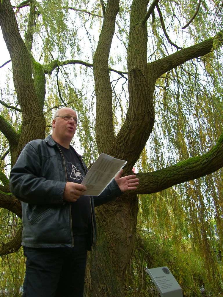 Hans Staphorsius bij zijn eigen, geadopteerde boom Foto: Shirley Brandeis, 5 november 2010 