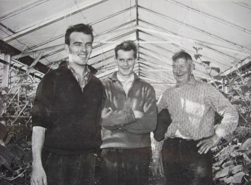  Herman Ruhe met zijn zoons Herman jr. en Jacques in de kas - Foto: , circa 1955 