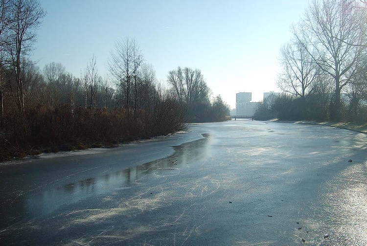 Het ijs tussen Geuzenveld en Osdorp Foto: Megan, 10 januari 2009 