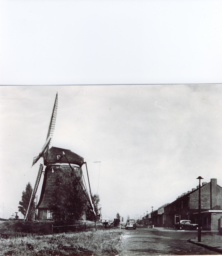 Molen Geuzenveld Molen de 'Elfhonderd Roe'. Deze molen staat nu in Sportpark Ookmeer. De foto toont de Struikstraat, ter hoogte van de Jaap Nunes Vazsstraat. Jaar van de foto is onbekend. Molen de 'Elfhonderd Roe'. Deze molen staat nu in Sportpark Ookmeer. De foto toont de Struikstraat, ter hoogte van de Jaap Nunes Vazsstraat. Jaar van de foto is onbekend, maar hij moet voor 1965 gemaakt zijn, want toen werd deze molen, de 1100 Roe, gedemonteerd om bij Sportpark Ookmeer weer opgebouwd te worden. 