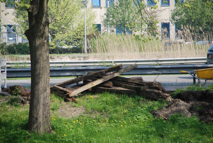 De oude ‘plantenbak’ De oude ‘plantenbak’ - Foto: Ruud van Koert, april 2009 