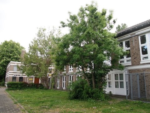 RK Kleuter + lagere school - 1954 - Louis Naarstigstraat  1-3 Foto: Annick van Ommeren-Marquer, mei 2011 