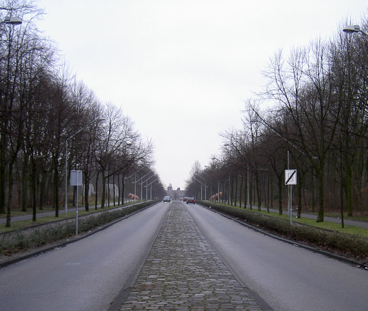 Postjesweg met volgroeide bomen Foto: Jan van Zijp, 23 januari 2008 