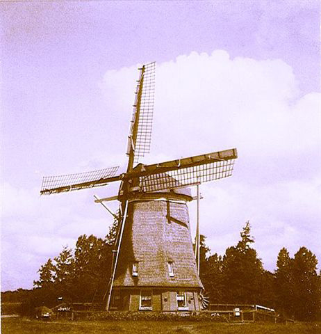 De molen in vroeger tijden Foto:  Rein Arler, 1978 Foto: Rein Arler, "Polaroid foto die ik maakte in de zomer van 1978" 