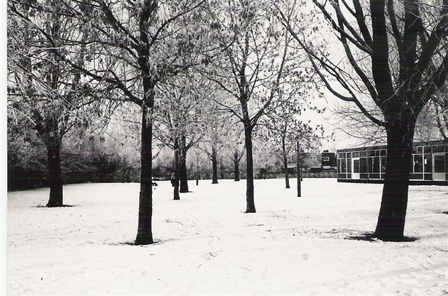 Winter in Slotermeer Foto: collectie Alie Westra 