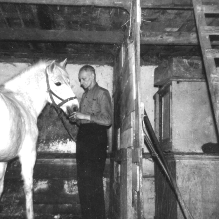 Mijn vader bij zijn paard op stal Foto: omstreeks 1960, collectie Fons Buis 