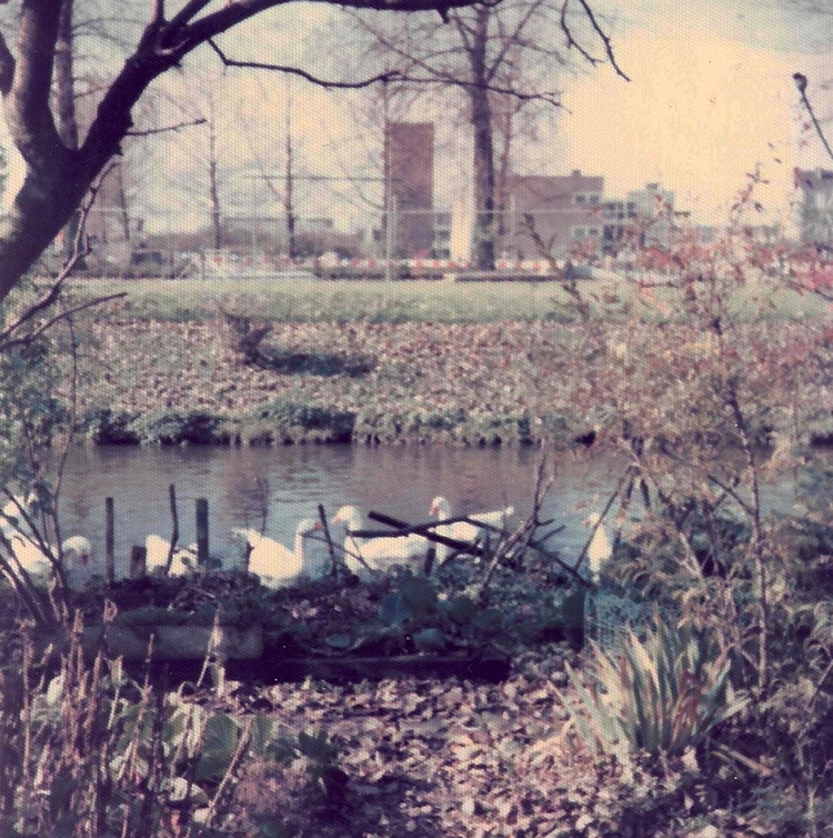 Uitzicht vanaf de ahtertuin Foto: Gré Bulterman-Takes, circa 1968 
