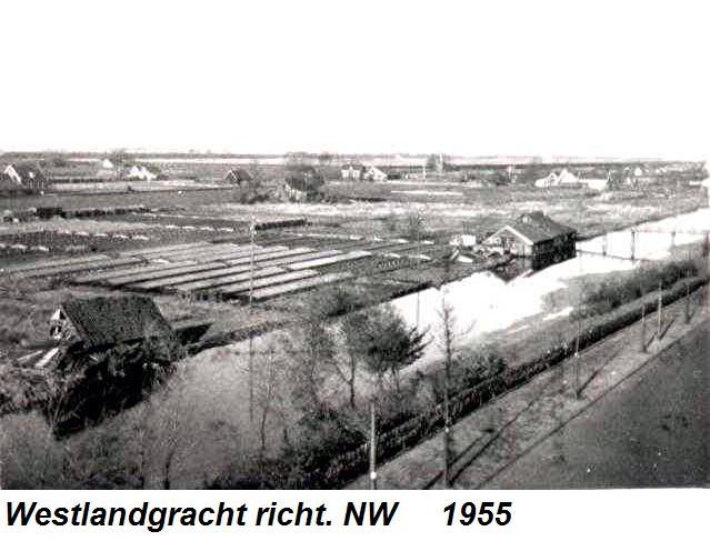 Westlandgracht Links de ingezakte schuur van boer Mulder.<br />Foto: collectie Frans Steenwinkel, 1955 