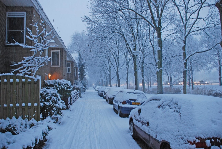 Winter in Slotermeer 1 wie, wat, wanneer, waar Foto: Ruud van Koert, 6 januari 2009 