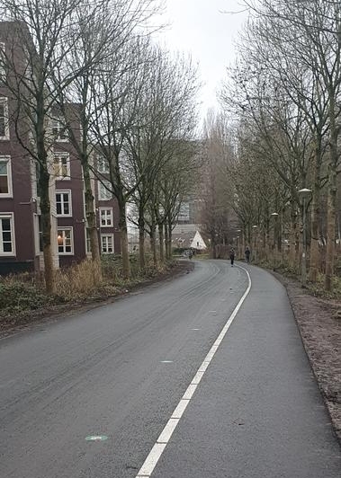 Glimmend asfalt voor fietsers en lopers Foto: Ruud van Koert, december 2020 