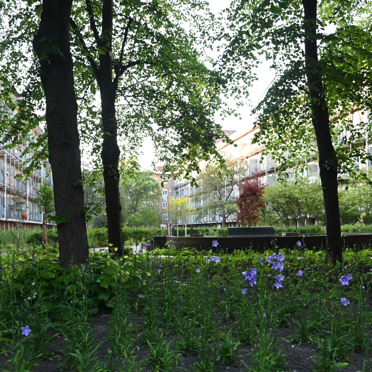 De tuin van Geuzenhof 1, 2023; Foto: Gerlinde Schuller  